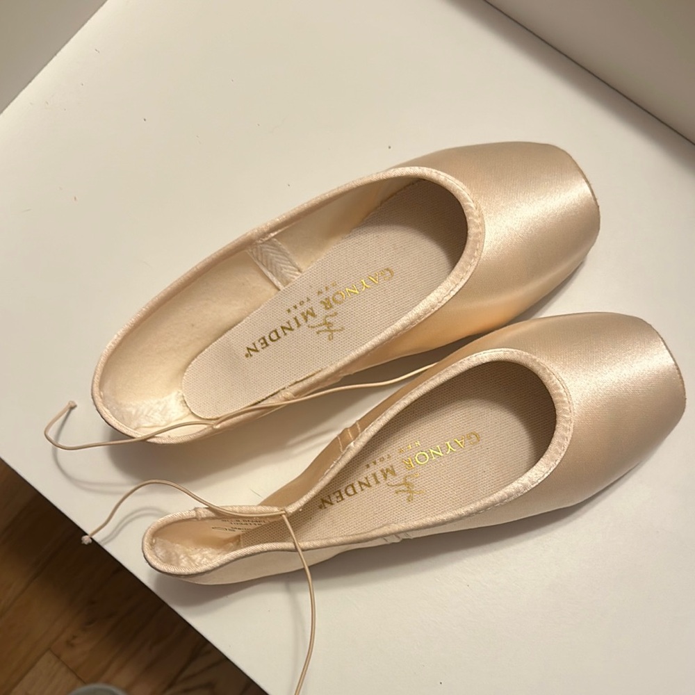 Gaynor Minden pointe shoe